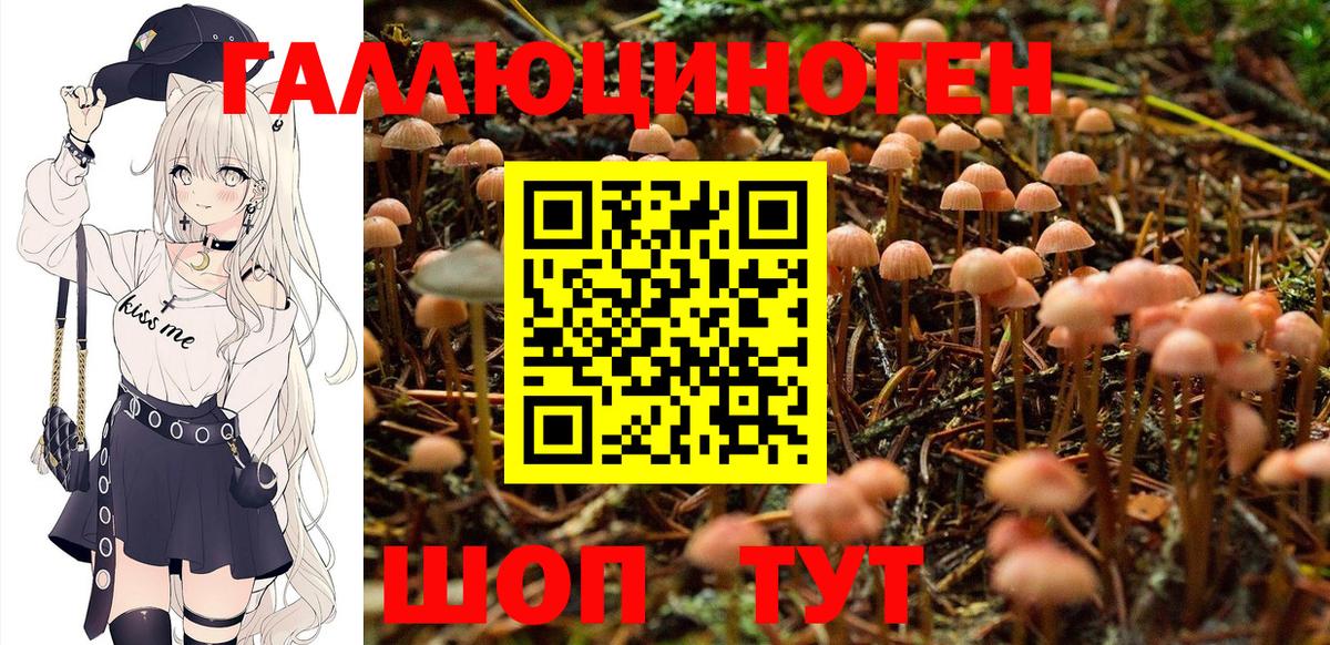 Каннабис  Горно-Алтайск  Кокаин  Экстази  Вход с VPN  Гашиш  Меф   A PVP СК кристаллы 