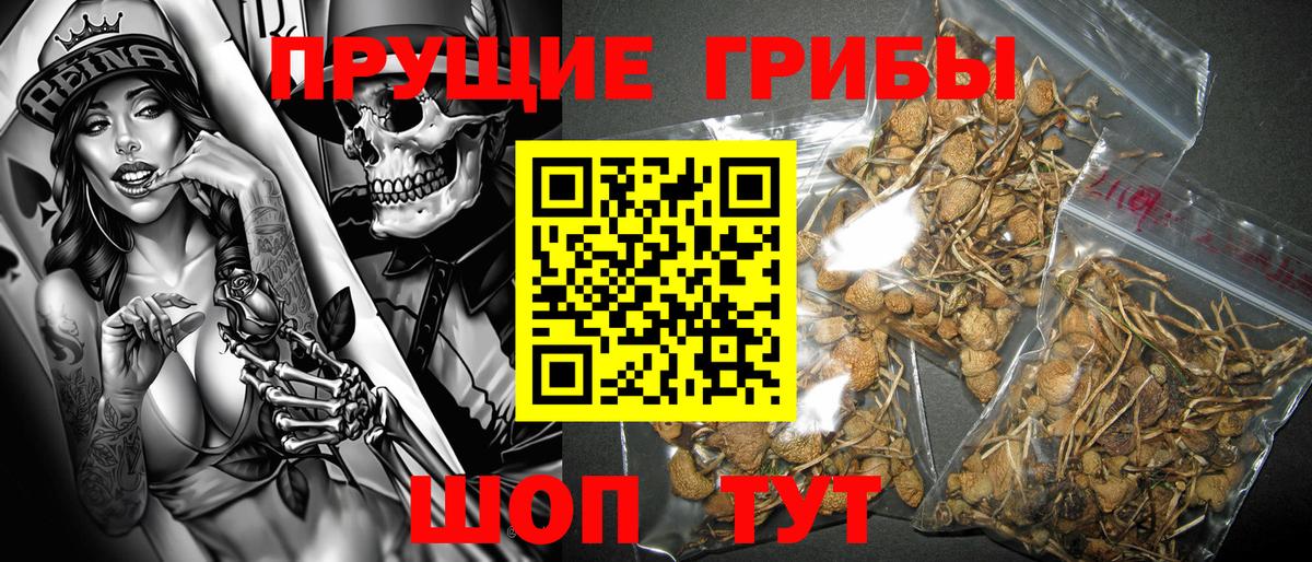 Горно-Алтайск  Галлюциногенные грибы ЛСД  Вход с VPN 